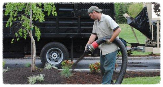 Topsoil Service Shelton, CT